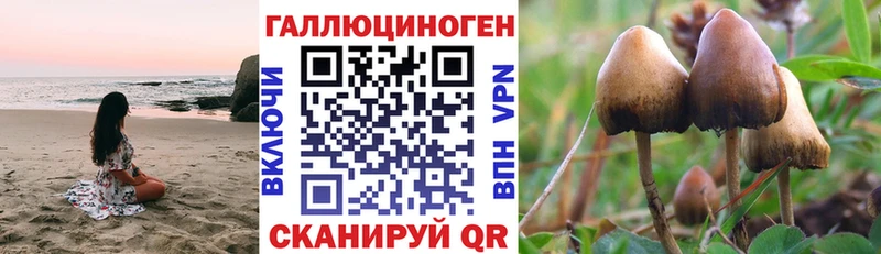 MEGA ССЫЛКА Аша дарк нет официальный сайт Галлюциногенные грибы Psilocybe
